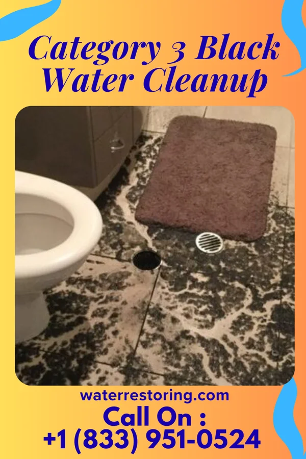 Category 3 Black Water Cleanup in Stoutsville, OH