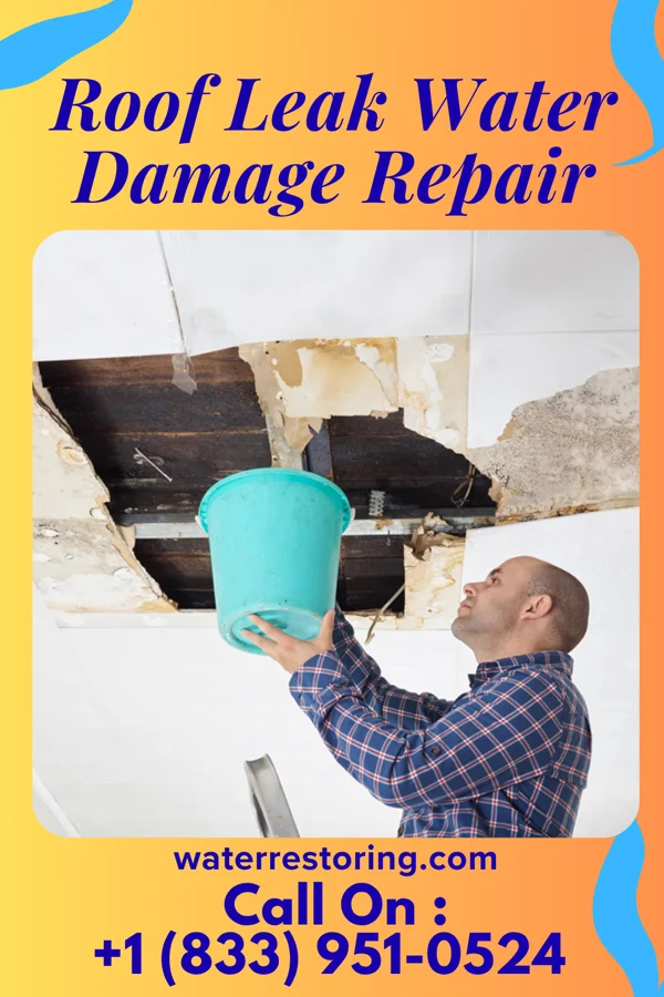 Roof Leak Water Damage Repair in Stoutsville, OH