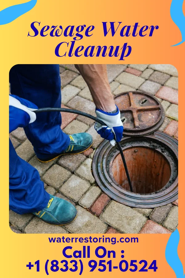 Sewage Water Cleanup in Stoutsville, OH